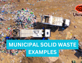 municipal solid waste examples,