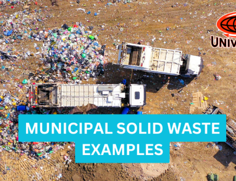 municipal solid waste examples,